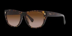 Gafas de sol Ralph Lauren 0RA5303U