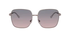 Gafas de sol Ralph Lauren 0RA4142