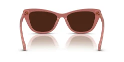Gafas de sol Ralph Lauren 0RA5346U