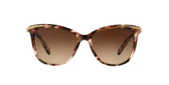 Gafas de sol Ralph Lauren 0RA5203
