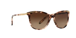 Gafas de sol Ralph Lauren 0RA5203
