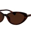 Gafas de sol Ralph Lauren 0RA5338U