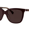 Gafas de sol Ralph Lauren 0RA5343U