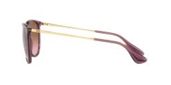 Gafas de sol Ray Ban ERIKA 0RB4171