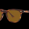 Gafas de sol Ray Ban HAWKEYE 0RB2298