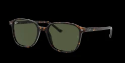Gafas de sol Ray Ban LEONARD 0RB2193