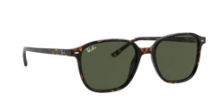 Gafas de sol Ray Ban LEONARD 0RB2193