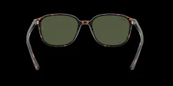 Gafas de sol Ray Ban LEONARD 0RB2193