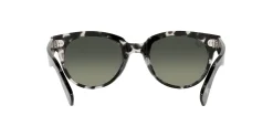 Gafas de sol Ray Ban ORION 0RB2199