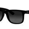 Gafas de sol Ray Ban 0RB4165