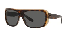 Gafas de sol Ray Ban 0RB2196