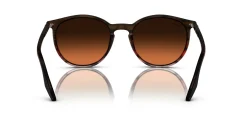 Gafas de sol Ray Ban 0RB2204