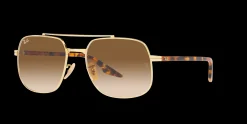 Gafas de sol Ray Ban 0RB3699
