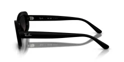 Gafas de sol Ray Ban 0RB2221