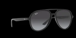 Gafas de sol Ray Ban 0RB4376