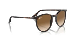 Gafas de sol Ray Ban 0RB2204