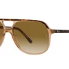 Gafas de sol Ray Ban 0RB2198