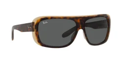 Gafas de sol Ray Ban 0RB2196