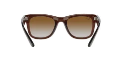 Gafas de sol Ray Ban WAYFARER REVERSE 0RBR0502S