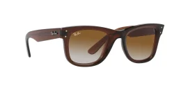 Gafas de sol Ray Ban WAYFARER REVERSE 0RBR0502S