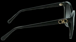 Gafas de sol Salvatore Ferragamo SF1026S