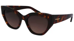Gafas de sol Salvatore Ferragamo SF1107S