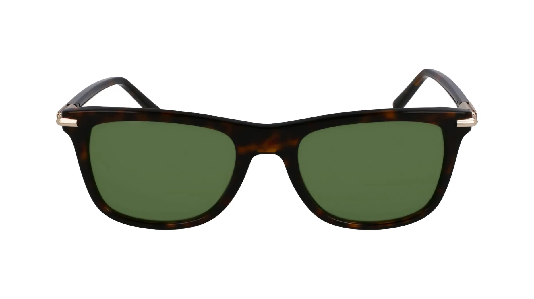 Gafas de sol Salvatore Ferragamo SF2028S