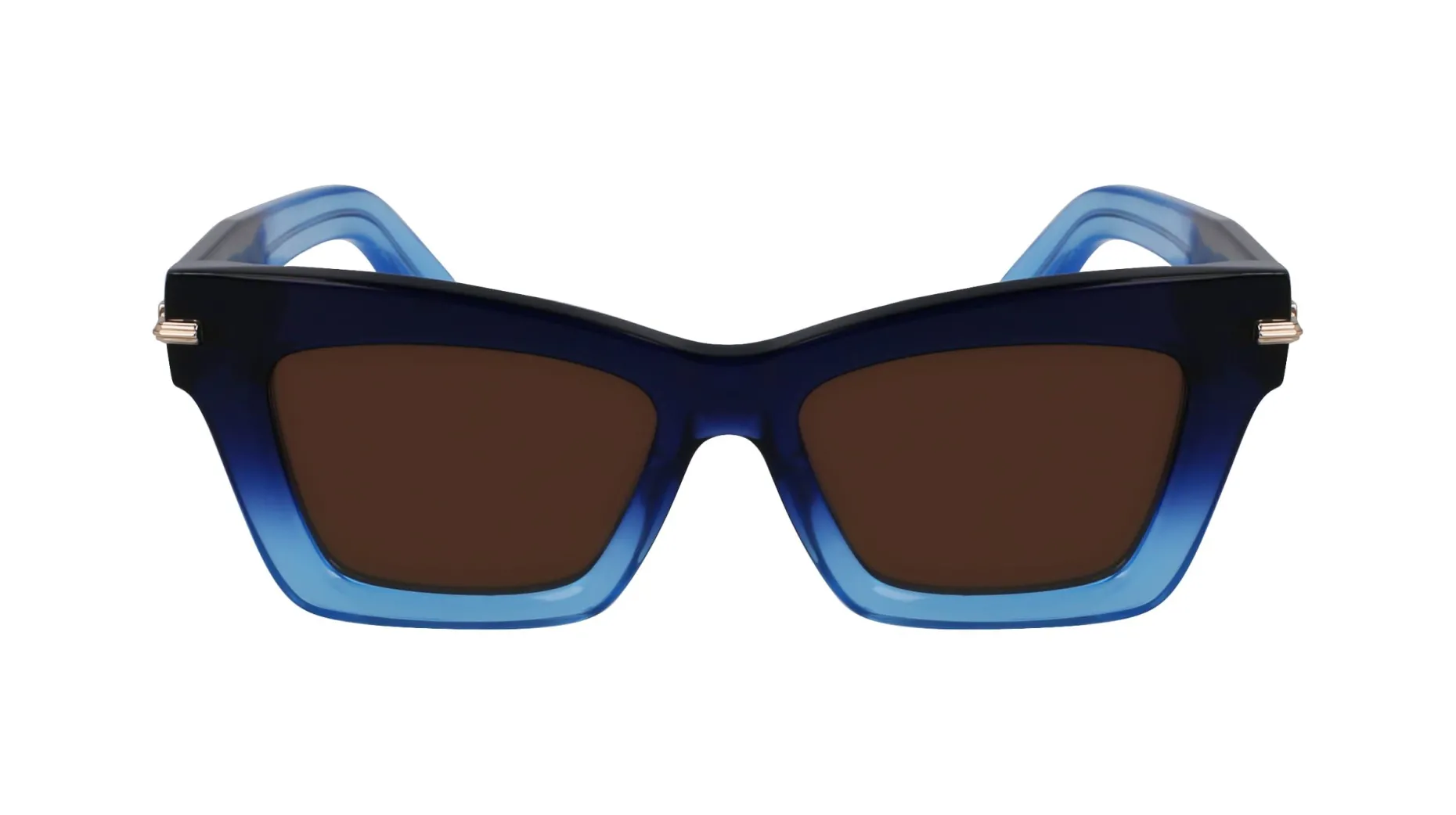 Gafas de sol Salvatore Ferragamo SF2031S