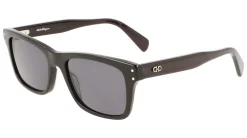 Gafas de sol Salvatore Ferragamo SF1039S