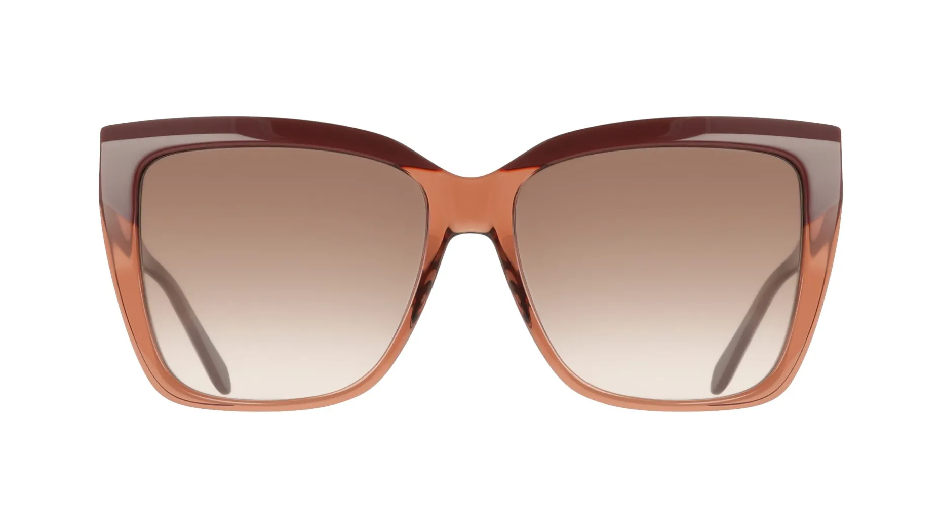 Gafas de sol Salvatore Ferragamo SF1102S