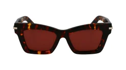Gafas de sol Salvatore Ferragamo SF2031S
