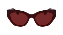 Gafas de sol Salvatore Ferragamo SF1107S