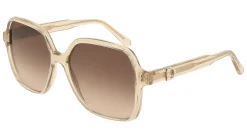Gafas de sol Salvatore Ferragamo SF2069SE