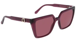 Gafas de sol Salvatore Ferragamo SF2058SE