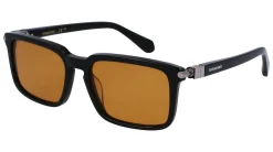 Gafas de sol Salvatore Ferragamo SF1110S