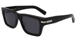 Gafas de sol Salvatore Ferragamo SF2033S