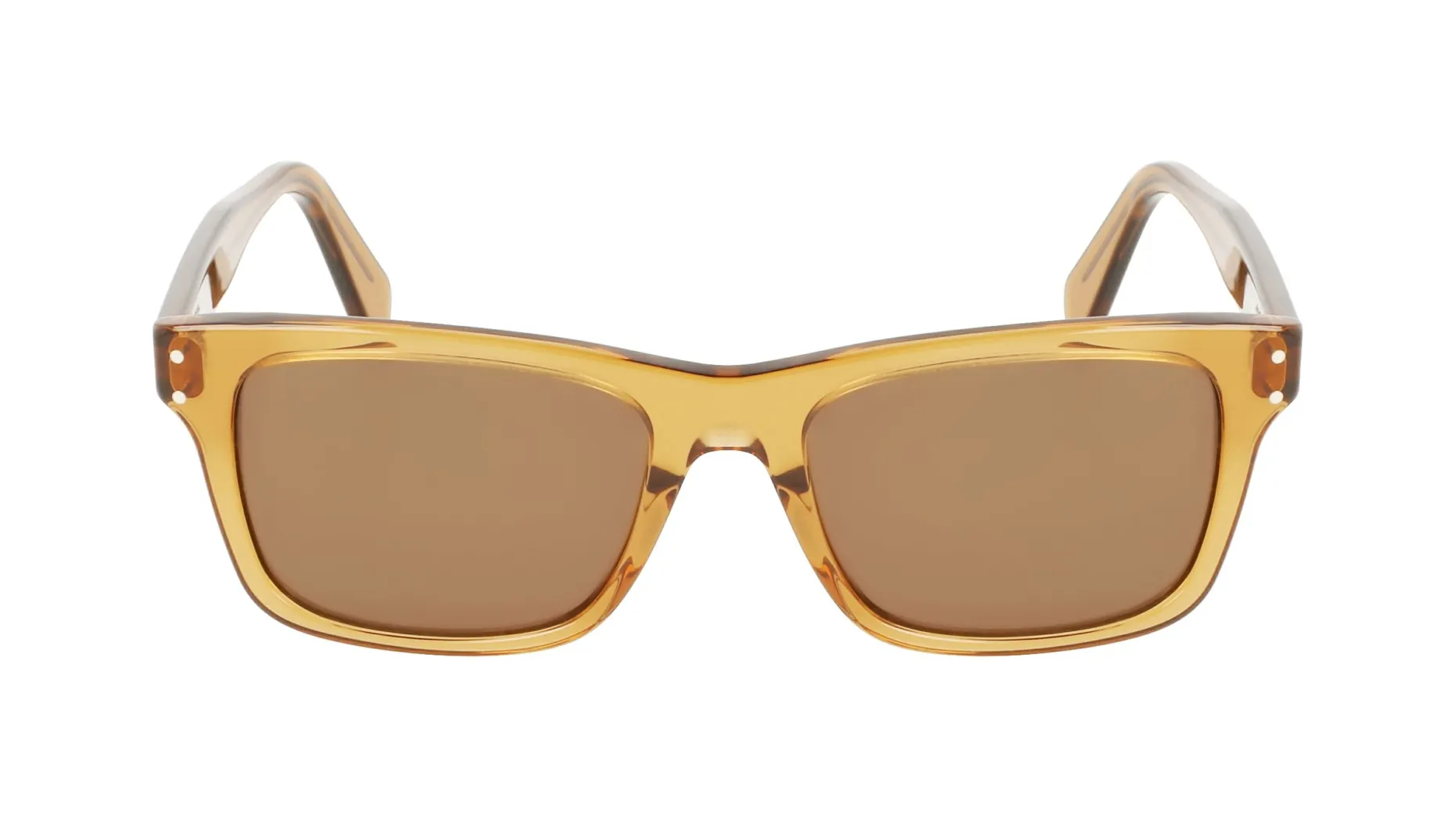 Gafas de sol Salvatore Ferragamo SF1039S
