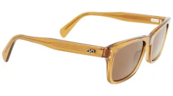 Gafas de sol Salvatore Ferragamo SF1039S
