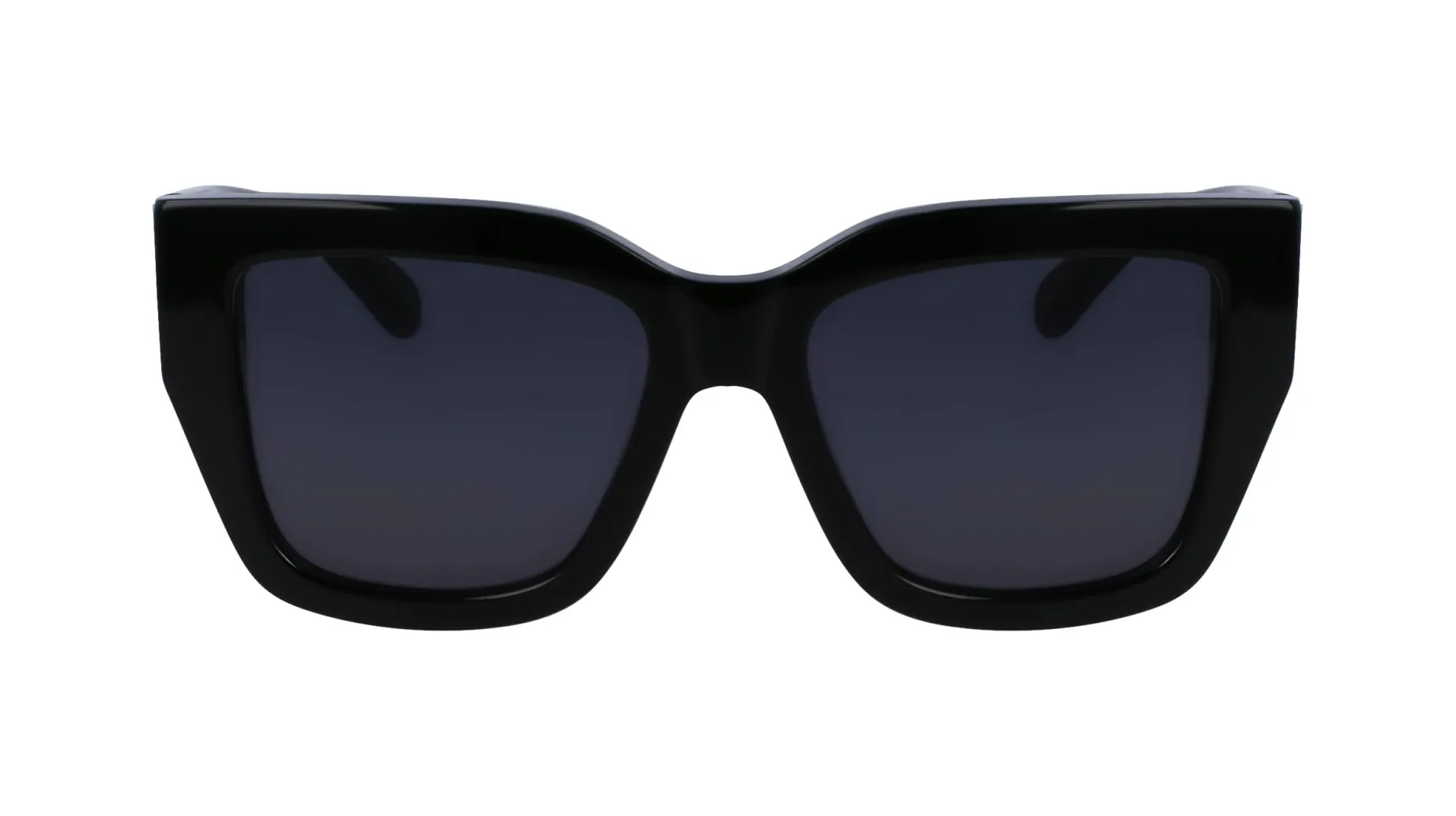 Gafas de sol Salvatore Ferragamo SF1104S