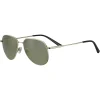 Gafas de sol Serengeti HAYWOOD SS543003